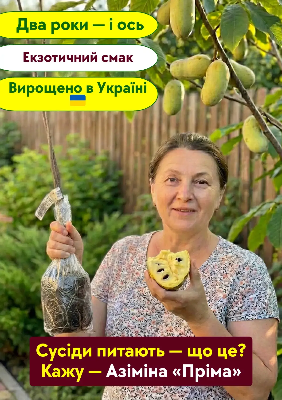 Азіміна Пріма