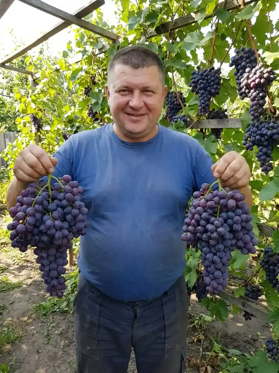 Фото клієнта 2